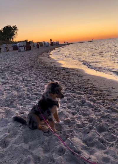 18. Farben Fotochallenge: Sonnenuntergang-Beitrag-Bild