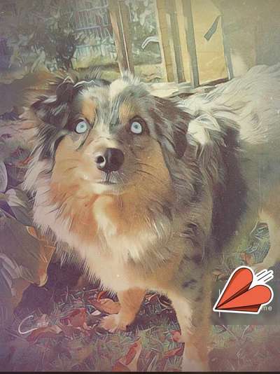 Photoshop und Co.-Beitrag-Bild