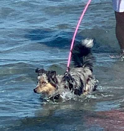 35. Handy Foto Challenge - Das nasse Element-Beitrag-Bild