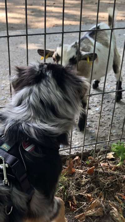 17. Handyfoto – Challenge-Beitrag-Bild