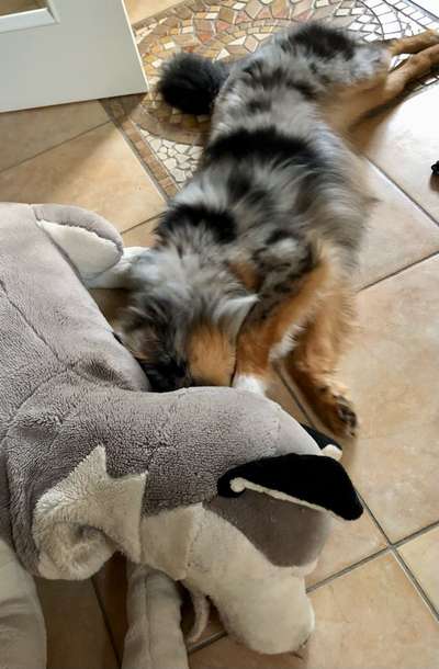 20. Handy -Foto-Callenge-Beitrag-Bild