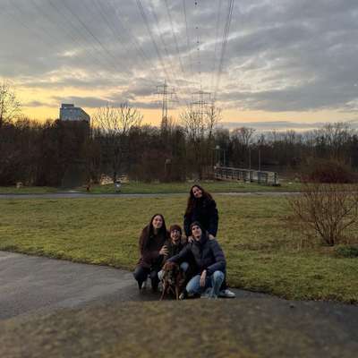 Hundetreffen-Treffen mit Hundis 🫶🏻