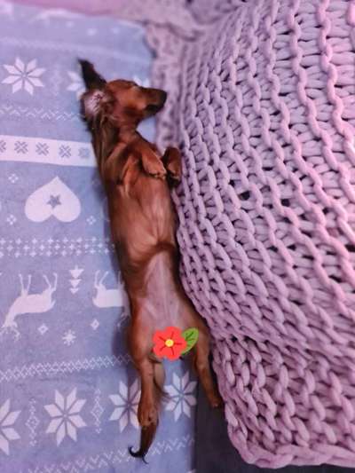 CHALLENGE NR. 34 - Liege-/Schlafpositionen-Beitrag-Bild