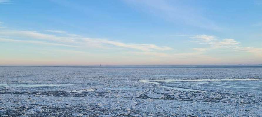 Die wunderschöne Welt mit Hund.-Beitrag-Bild