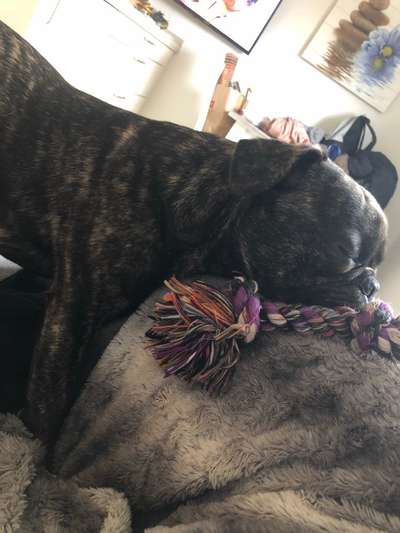 Die unbequemsten und lustigsten Schlafpositionen-Beitrag-Bild