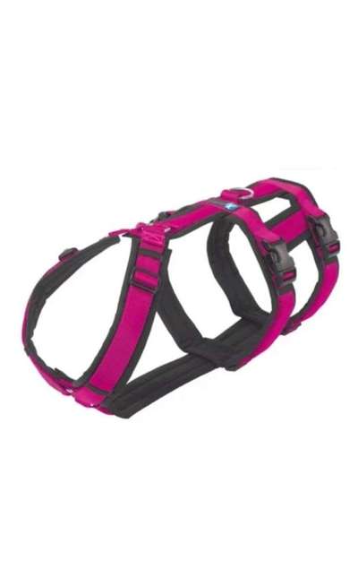 Wie sitzt mein Geschirr?-Beitrag-Bild