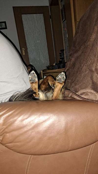 143. Fotochallenge: Ja, wo isser denn?-Beitrag-Bild