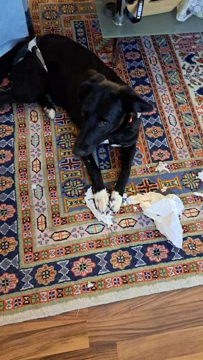 15. Handyfoto Challenge - Indoor Aktivitäten-Beitrag-Bild