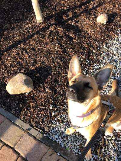 Lieblingsbild :D-Beitrag-Bild