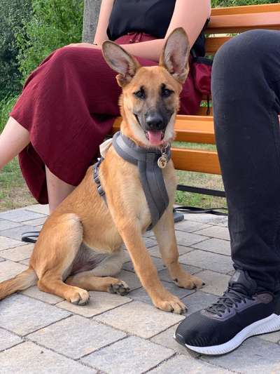 Sie werden so schnell erwachsen ...-Beitrag-Bild