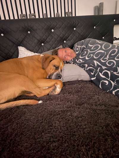Darf der Hund bei Euch im Bett schlafen?-Beitrag-Bild