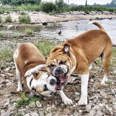 Spieltrieb ;)-Beitrag-Bild