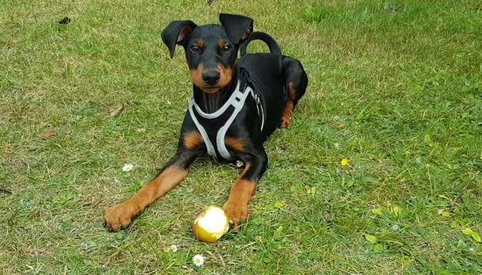 Lieblingsbild-Beitrag-Bild