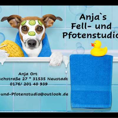 Hundefriseure-Anja‘s Fell - und Pfotenstudio-Bild