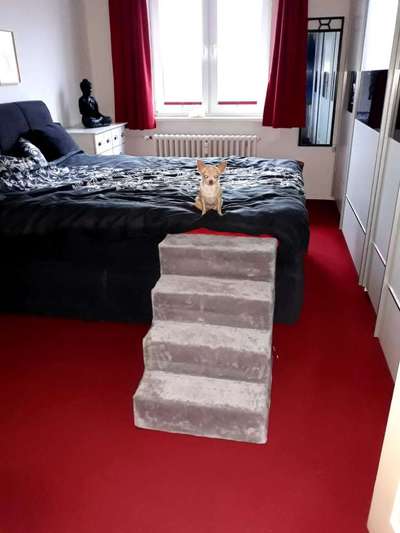 Einstieg/Treppe fürs Bett-Beitrag-Bild