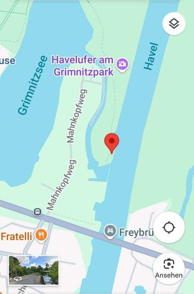 ⚠️🐛 Eichenprozessionsspinner – echte Gefahr für Hunde oder unnötige Panikmache?-Beitrag-Bild