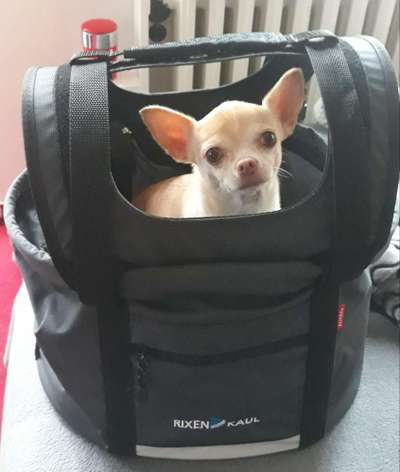 CHALLENGE NR. 18 - ON TOUR-Beitrag-Bild