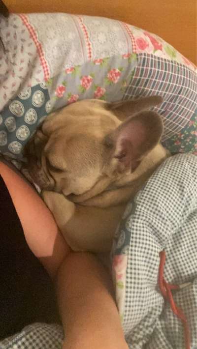 Gemeinsames Kuscheln im Bett!-Beitrag-Bild