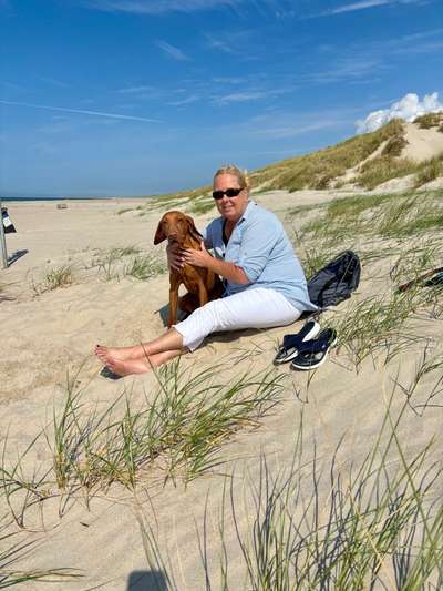 Urlaub in Dänemark-Beitrag-Bild