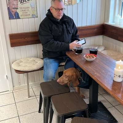 Urlaub in Dänemark-Beitrag-Bild