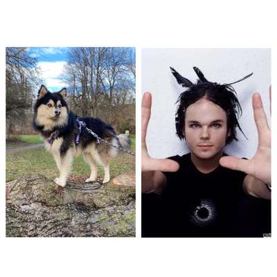 Wie heißt dein Hund?-Beitrag-Bild