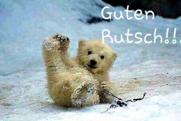 Rhodesian Ridgeback-Beitrag-Bild