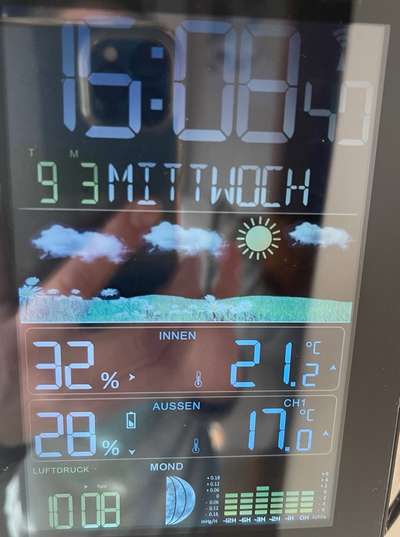 Rhodesian Ridgeback-Beitrag-Bild