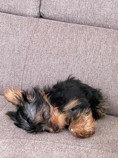 Schlafzeit!💖-Beitrag-Bild