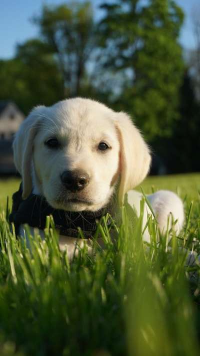 Lieblingsbild-Beitrag-Bild