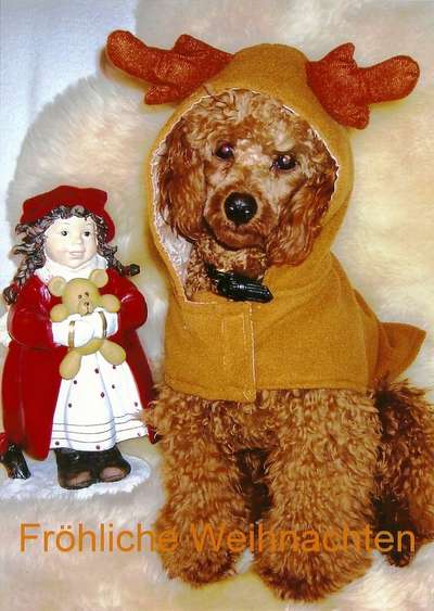 It's beginning to look a lot like.....-Beitrag-Bild