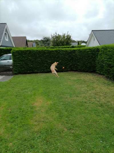 Fotochallenge Nr. 52 „Spring!“-Beitrag-Bild