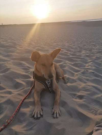 Fotochallenge Nr. 62 Romantische Momente-Beitrag-Bild