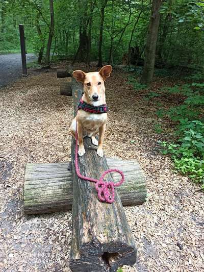 Fotochallenge Nr. 67: Euer Lieblingsbild-Beitrag-Bild