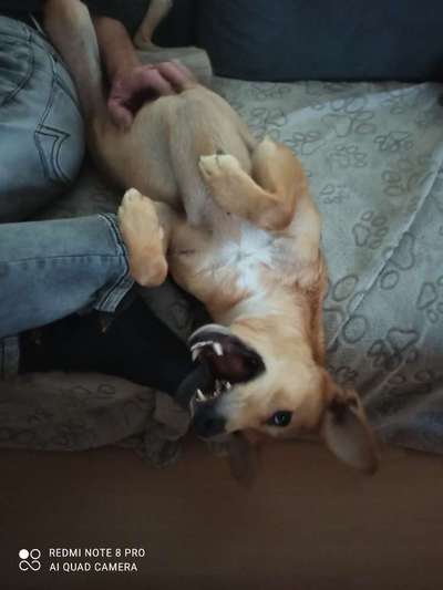 Fotochallenge Nr.65-Beitrag-Bild