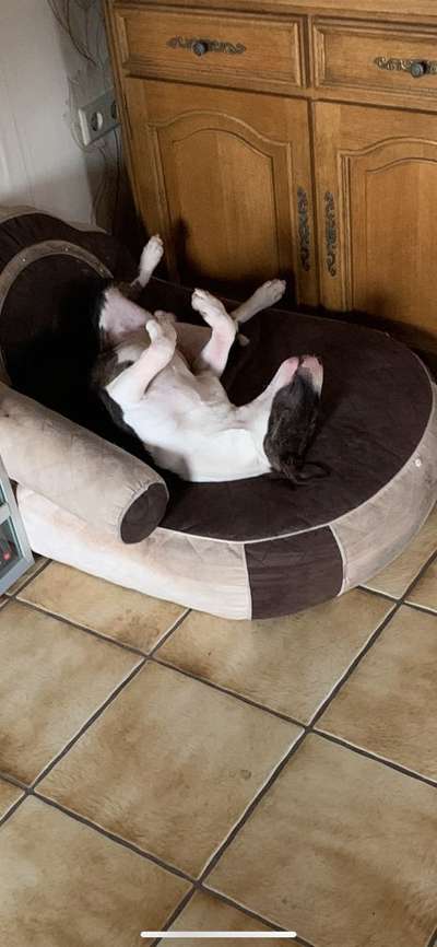 Lieblingsbild-Beitrag-Bild