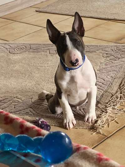 Lieblingsbild-Beitrag-Bild