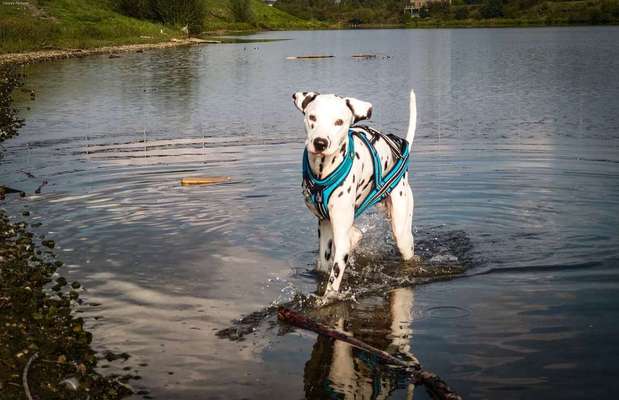 Foto Challenge - BEENDET - bitte aktuelle Challenge nutzen-Beitrag-Bild