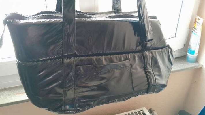 aktuelles Foto Gruppe Hunde Sachen/ Zubehör zu verschenken