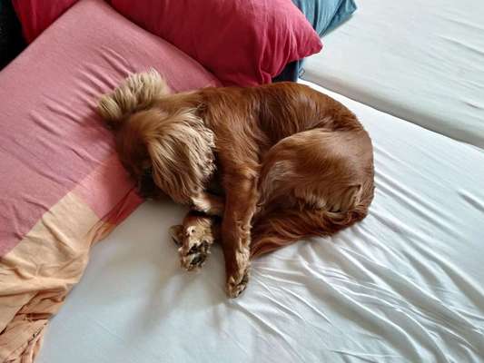 Die unbequemsten und lustigsten Schlafpositionen-Beitrag-Bild