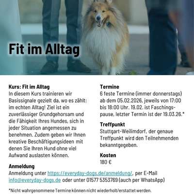 %{de_profession_title}-Fit im Alltag-Bild