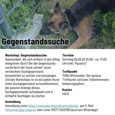 %{de_profession_title}-Workshop Gegenstandssuche-Bild