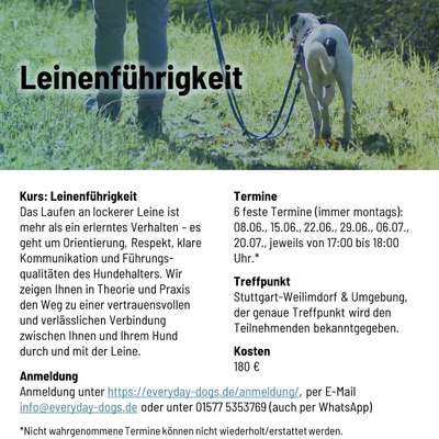 %{de_profession_title}-Kurs "Leinenführigkeit"-Bild