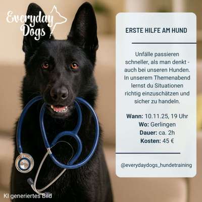 %{de_profession_title}-Erste Hilfe am Hund-Bild