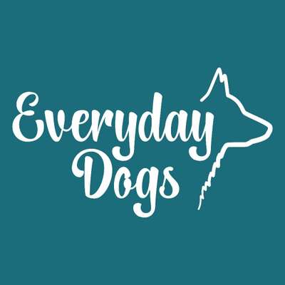 Hundeschulen-Everyday Dogs Hundetraining-Bild