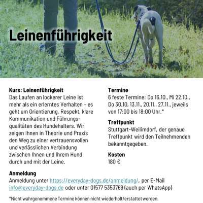 Giftköder-Kurs Leinenführigkeit-Bild