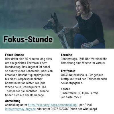 Giftköder-Fokus-Stunde-Bild