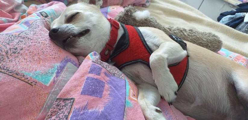 Theos Fotochallange Nummer 4-Beitrag-Bild