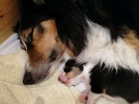 Fotochallenge 88-Beitrag-Bild