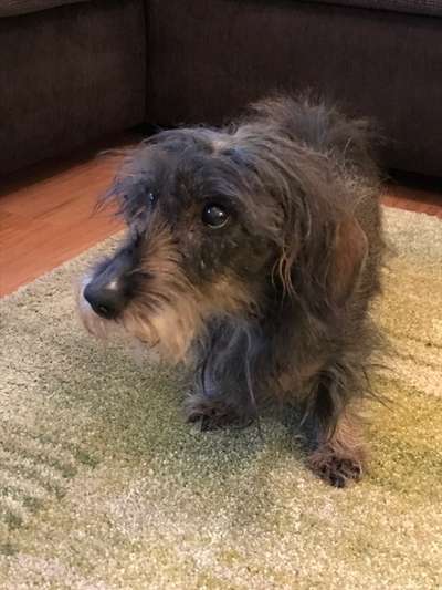 Fotochallenge Nr. 56 - geliebte Senioren-Beitrag-Bild