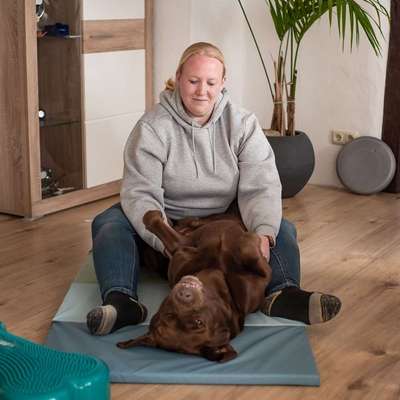 Medizinische Dienstleistungen-Tierphysiotherapie Jennifer Büttgenbach-Bild